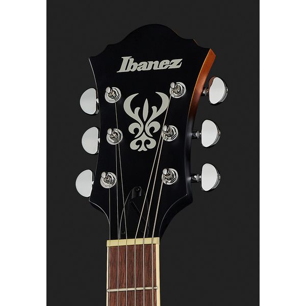 Ibanez AF55L-TF