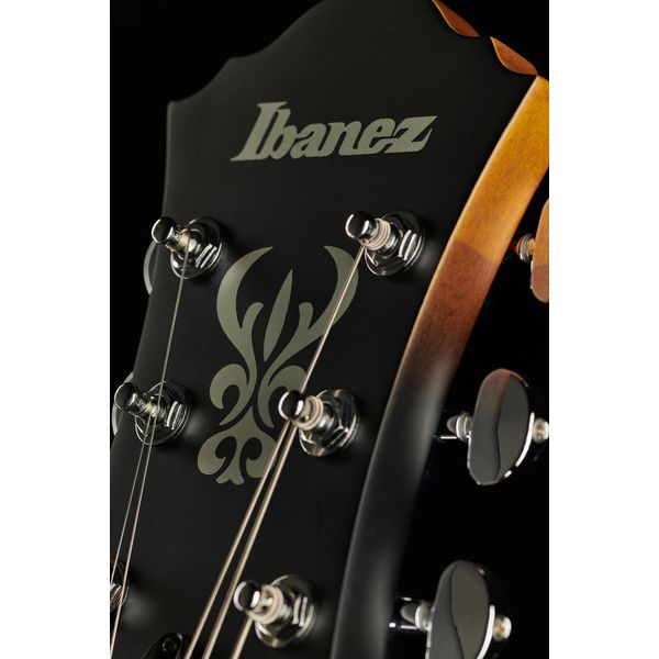 Ibanez AF55L-TF