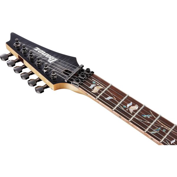 Ibanez RG8570-BRE