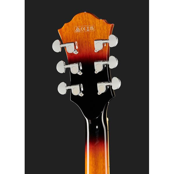 Ibanez AF75-BS