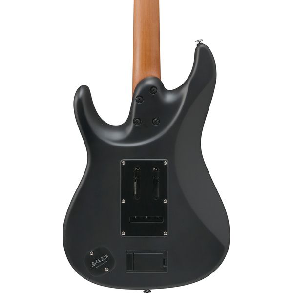 Ibanez BER10 Bernth Signature