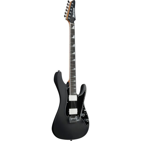 Ibanez BER10 Bernth Signature