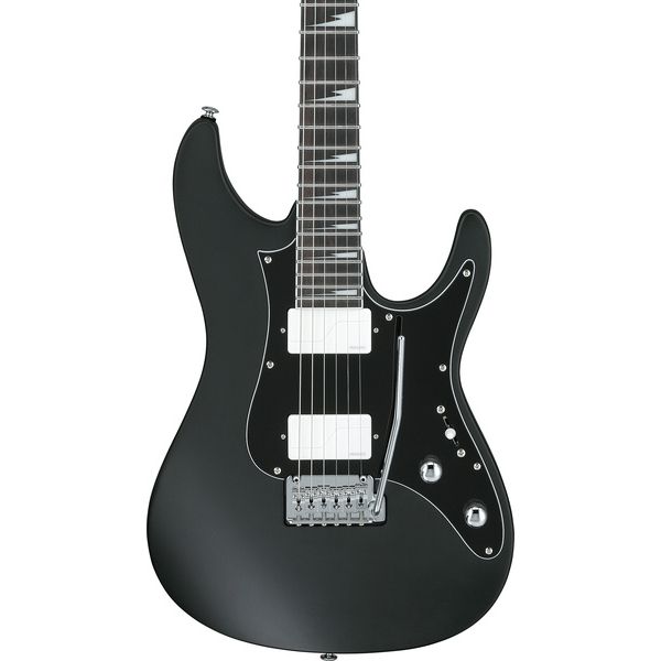 Ibanez BER10 Bernth Signature
