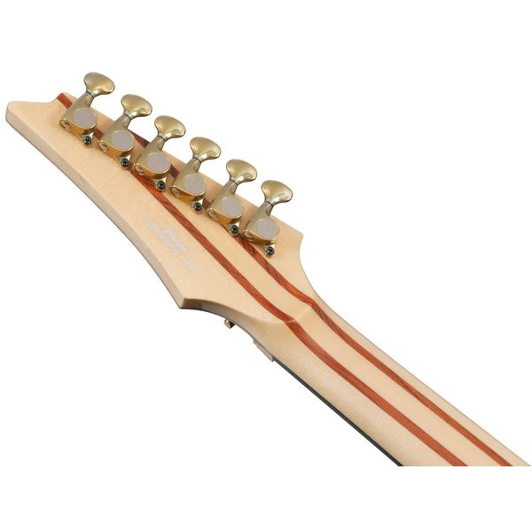Ibanez IV1RG Visions RG