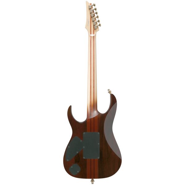 Ibanez IV1RG Visions RG