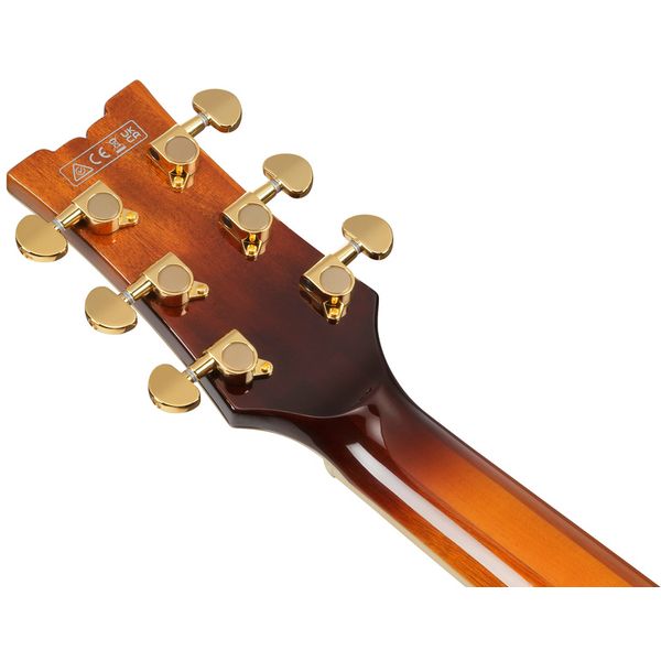 Ibanez AM93QA-VVH