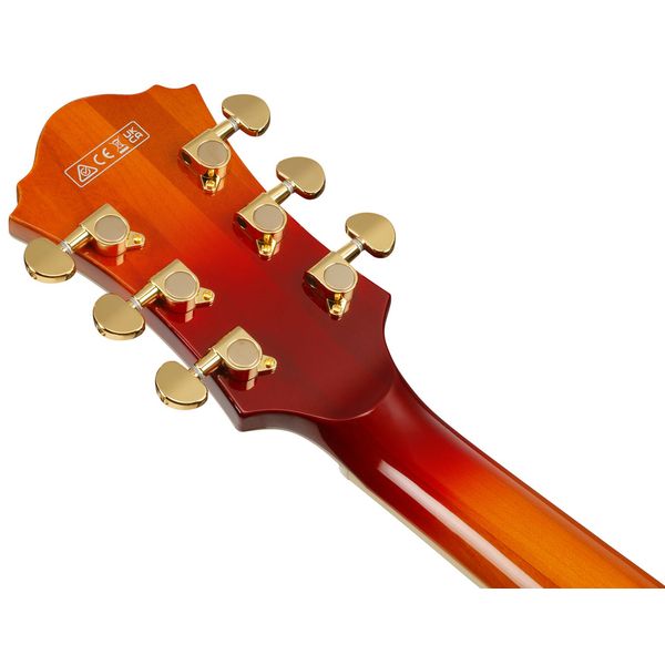 Ibanez AF115-AWB