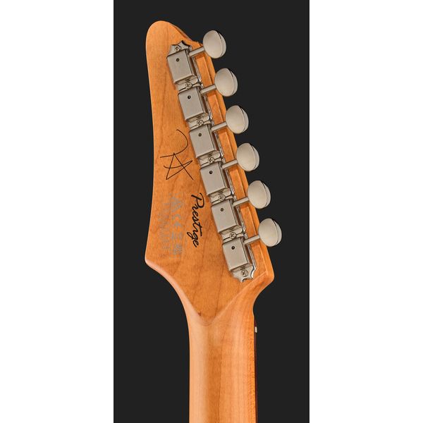 Ibanez FLATV2-MSN