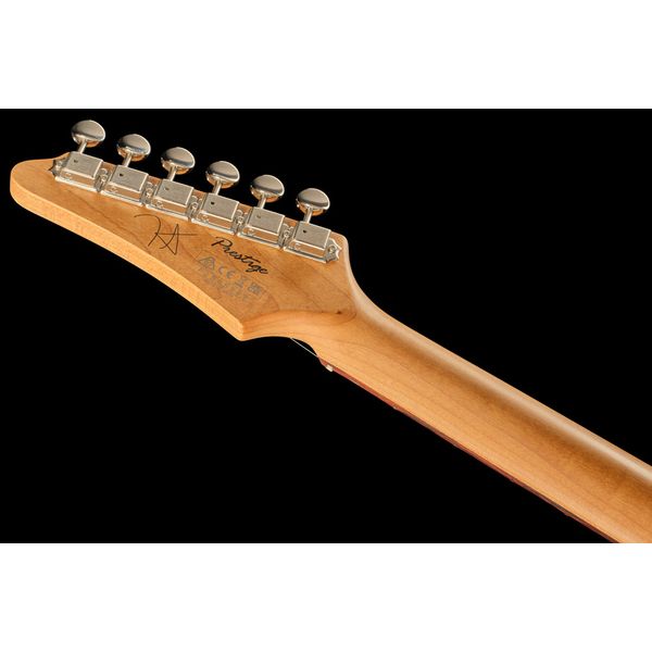 Ibanez FLATV2-MSN