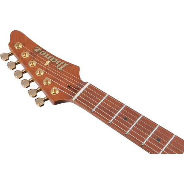 Ibanez AZ2204AG-TGB