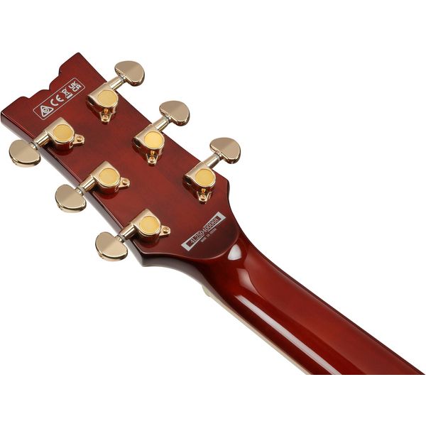 Ibanez AR520HME-NT