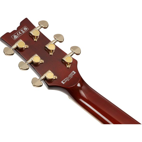 Ibanez AR320-MBM