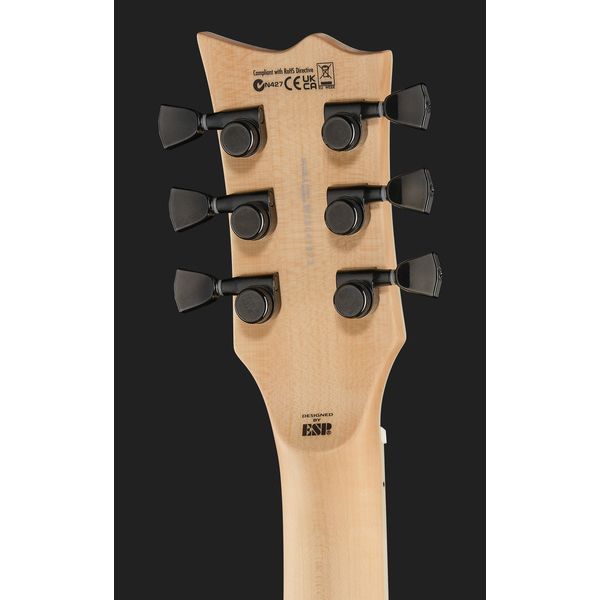 ESP LTD WA Warbird Will Adler