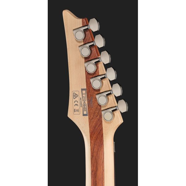 Ibanez PWM20