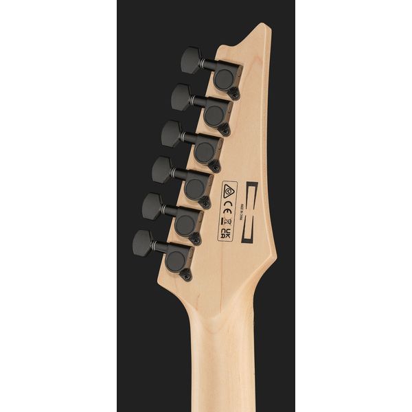 Ibanez PGMM31-WH Paul Gilbert Sign