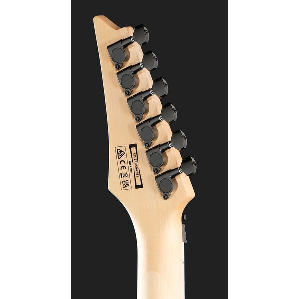 Ibanez GRG320FA-TVT