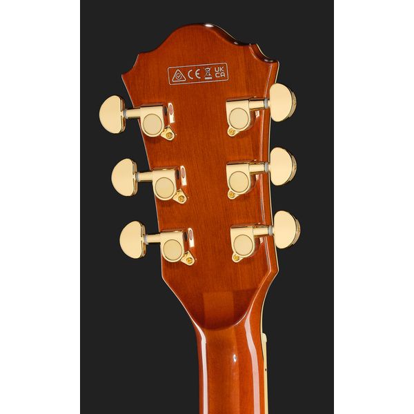 Ibanez AG95MG-DA
