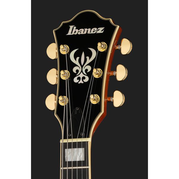 Ibanez AG95MG-DA