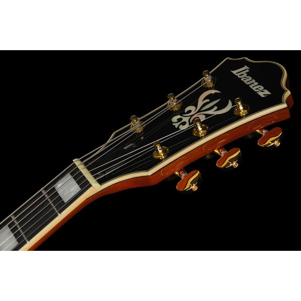 Ibanez AG95MG-DA