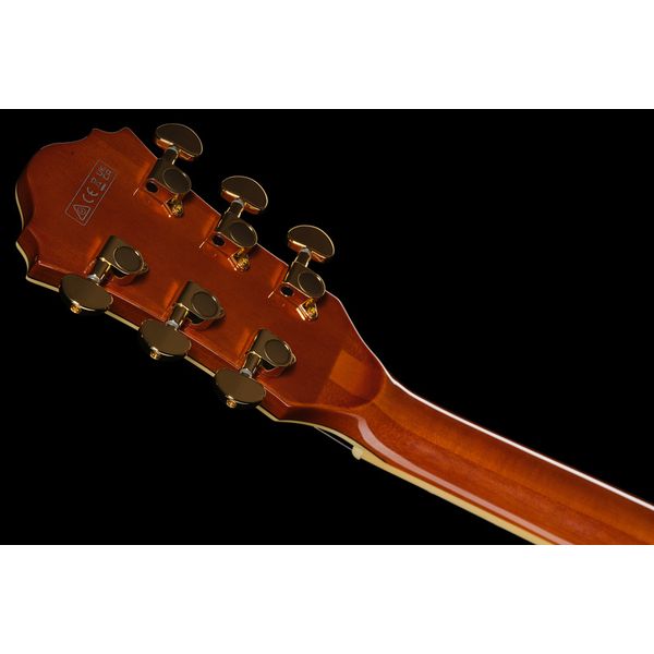Ibanez AG95MG-DA