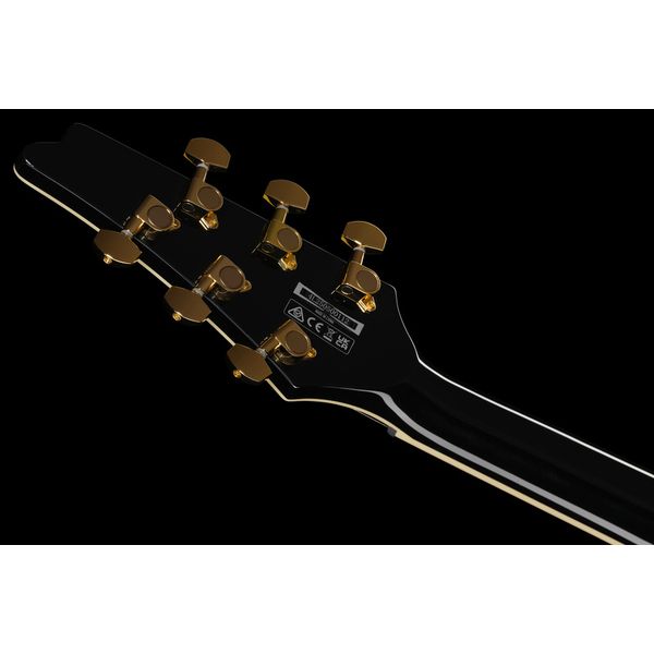 Ibanez FRM350-BK Paul Gilbert