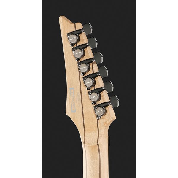 Ibanez RGA20P1PB-CUL