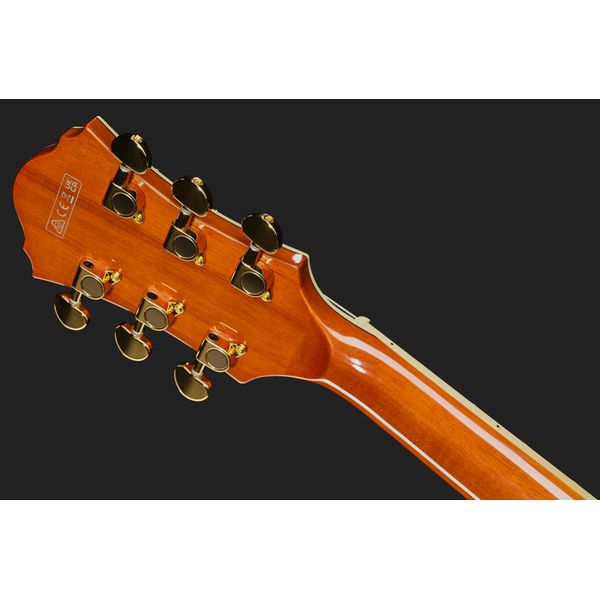 Ibanez AF95-DA