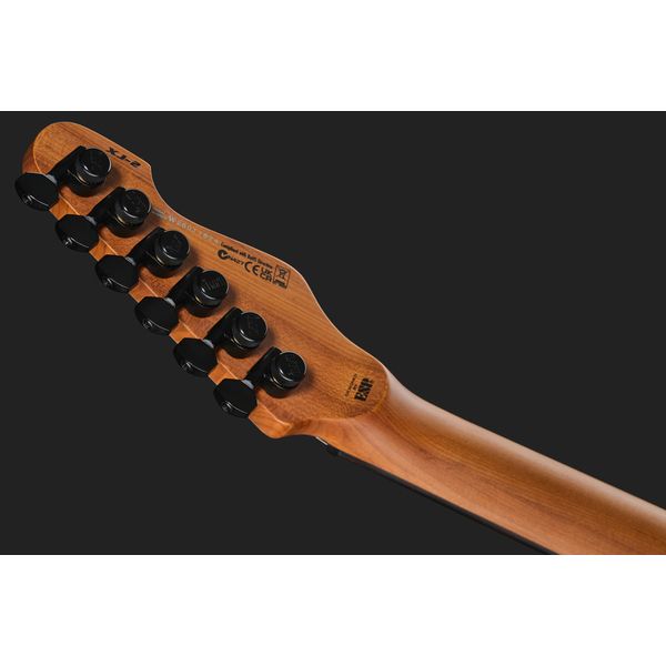 ESP LTD XJ-2HT SWD