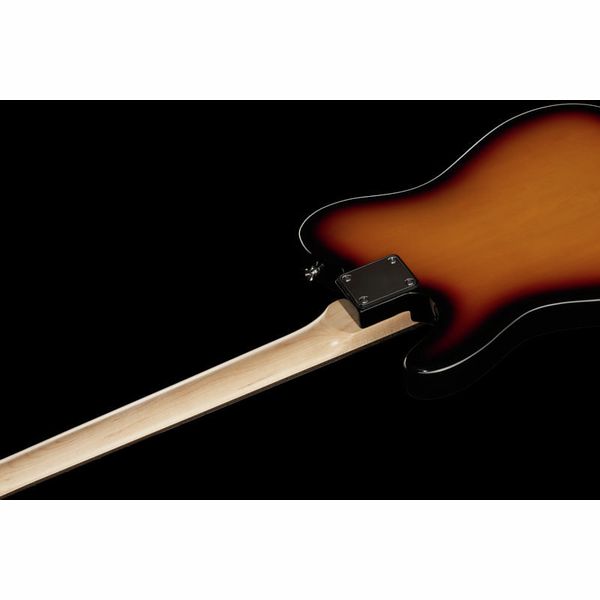 Harley Benton TE-20