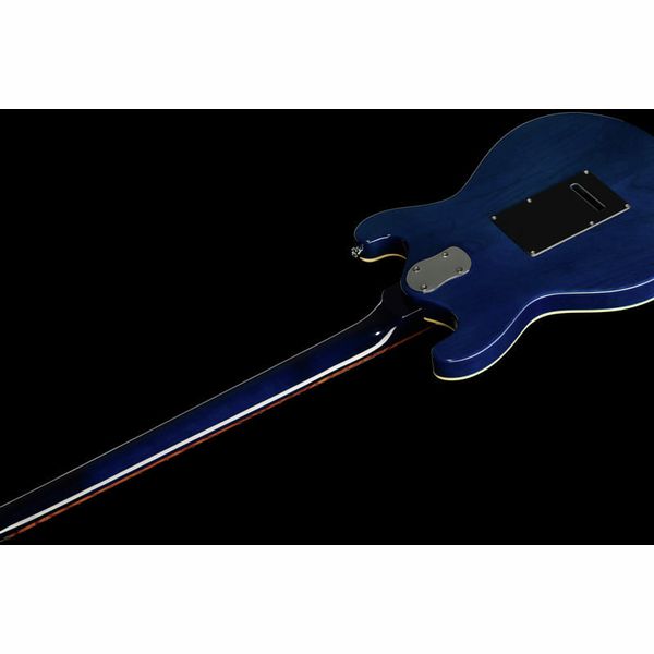 Danelectro 66BT