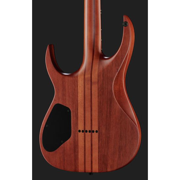 Solar Guitars s1 6hlb