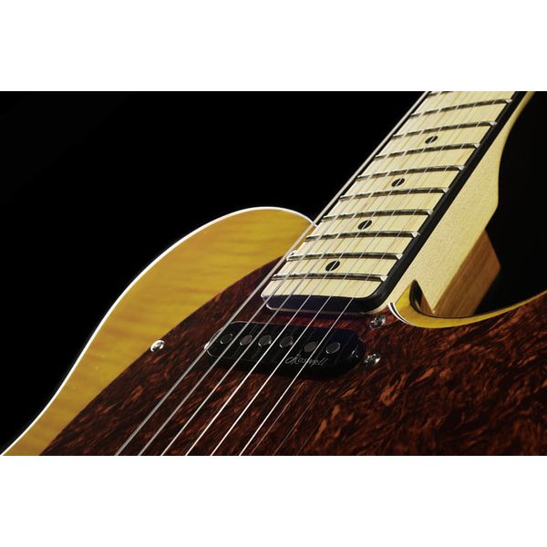 Harley Benton TE-80