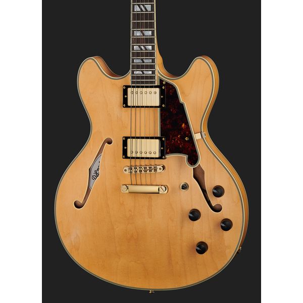 DAngelico Deluxe DC