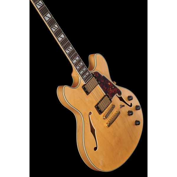 DAngelico Deluxe DC