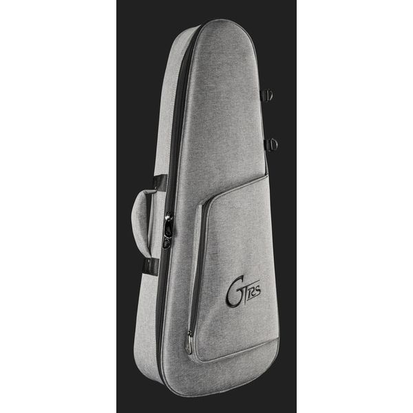Mooer GTRS Guitars Wing 900 API