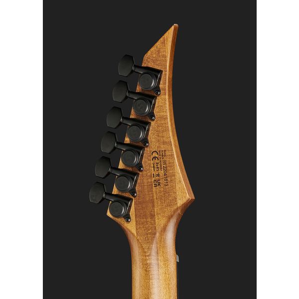 Solar Guitars e1 6aan