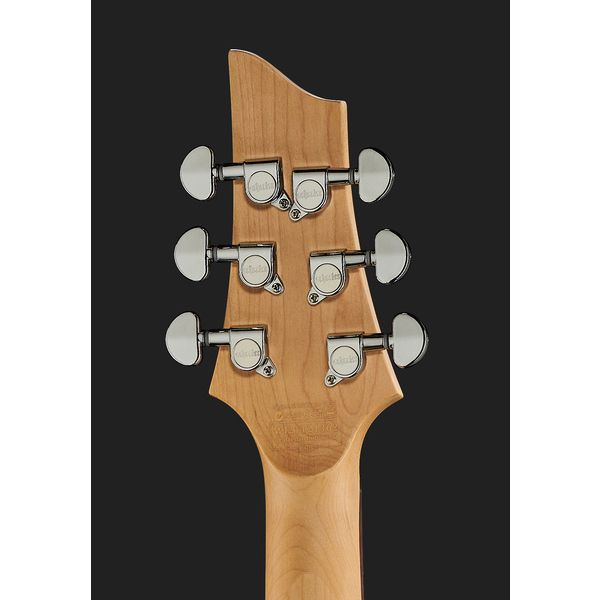 Schecter C-6 Deluxe