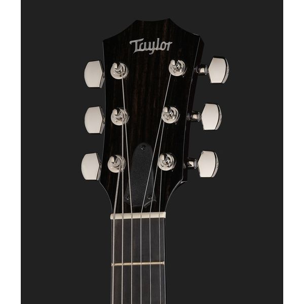 Taylor T5z Pro