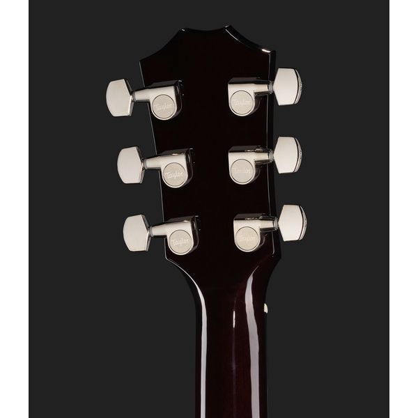 Taylor T5z Pro