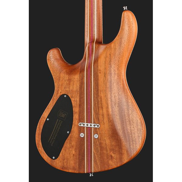 Mayones Guitars Regius Core 6 AMH