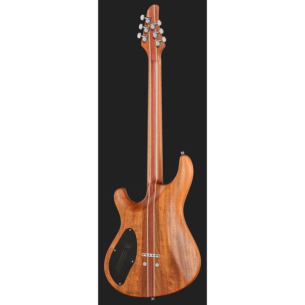 Mayones Guitars Regius Core 6 AMH