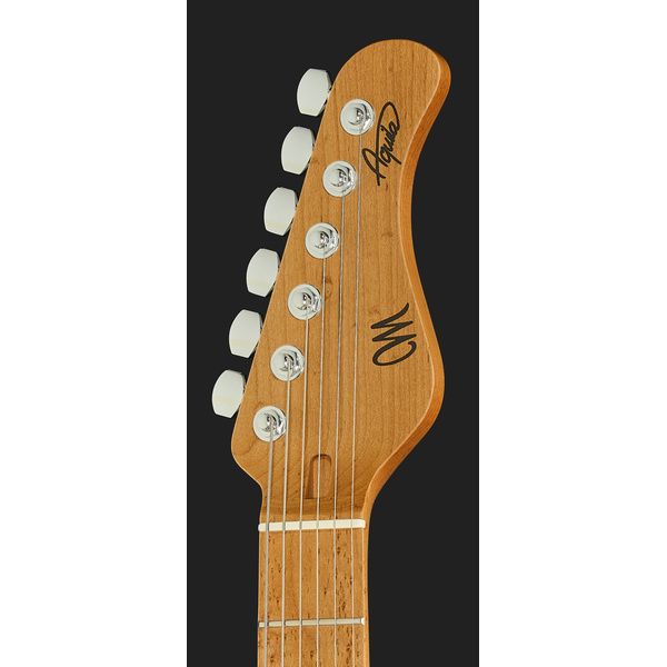 Mayones Guitars Aquila V24 6 MMNG
