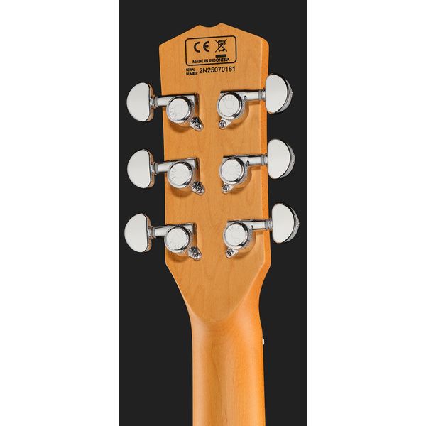 Larry Carlton I5T