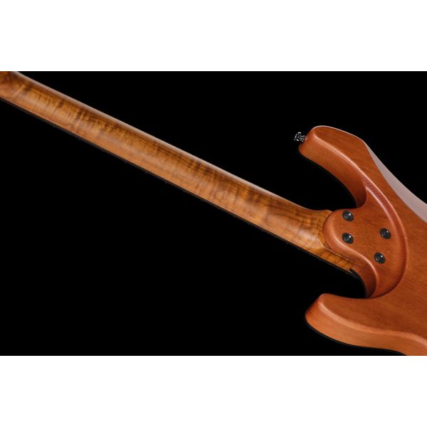 Harley Benton Fusion-IV HSH RW SGR