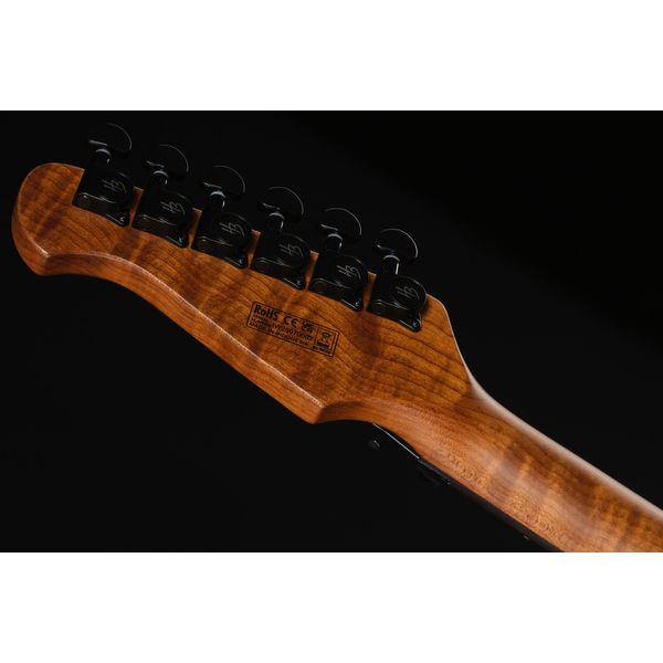 Harley Benton Fusion-IV HH RW FR