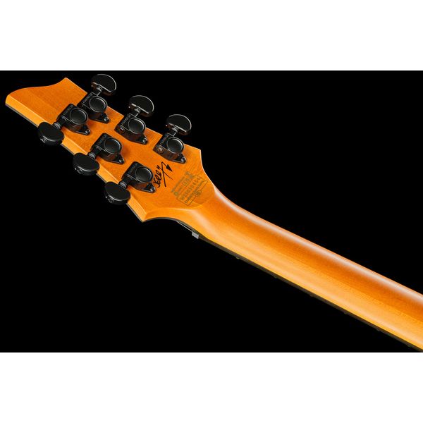 Schecter C-1 Jerry Horton 25th