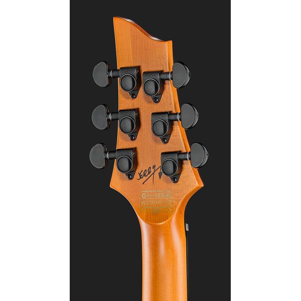 Schecter C-1 Jerry Horton 25th
