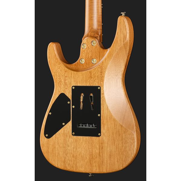 Harley Benton Fusion-IV HSS RW SGD
