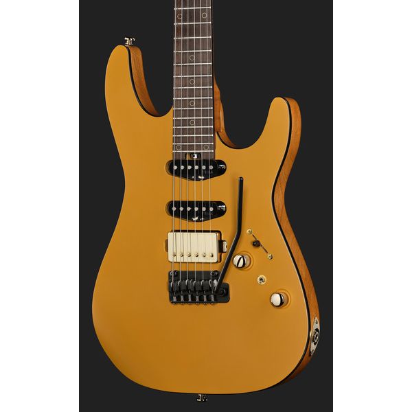 Harley Benton Fusion-IV HSS RW SGD