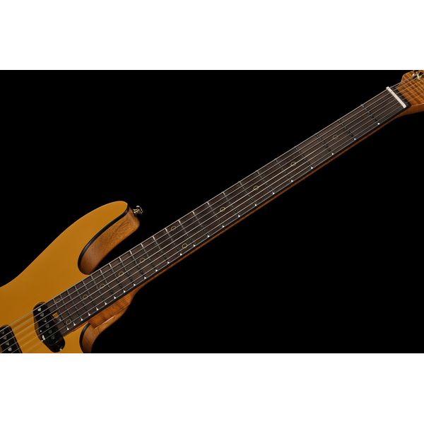 Harley Benton Fusion-IV HSS RW SGD